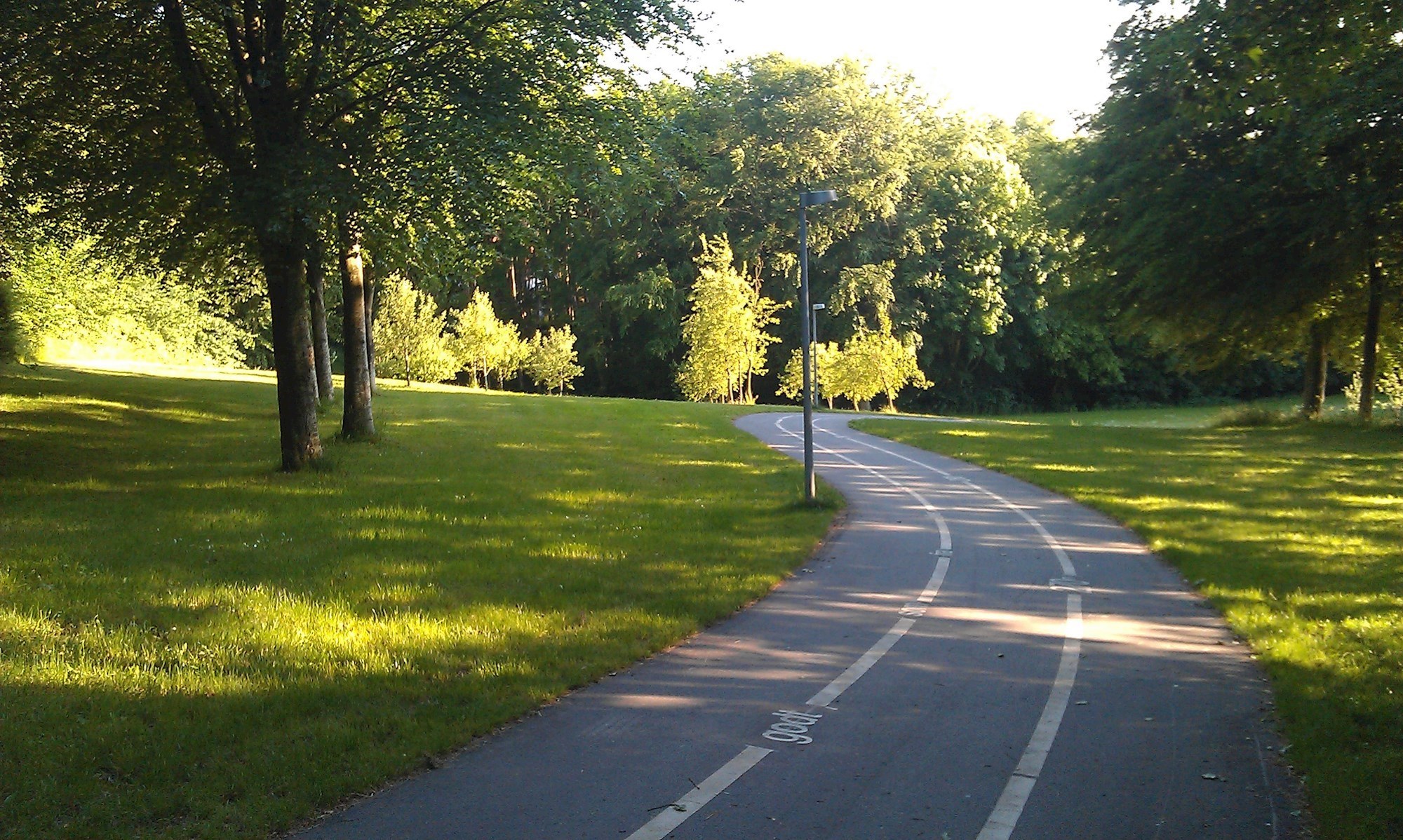Asfaltsti som forbinder Æbleskoven med hal og skoleområde