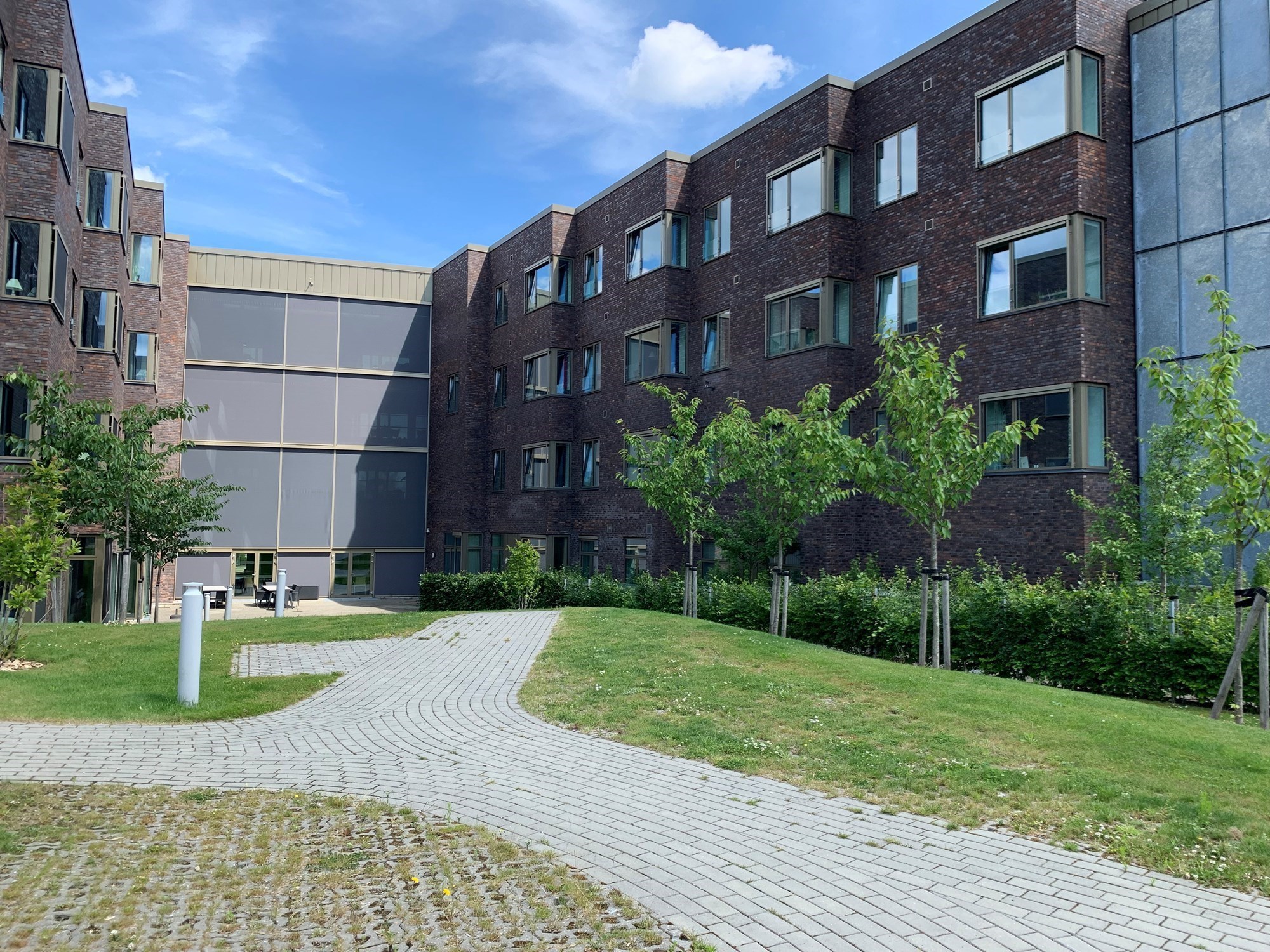 Banebo set fra bagsiden