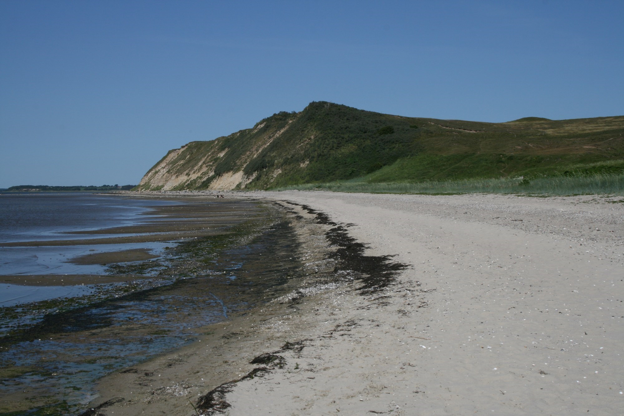Ulbjerg Klint 2008